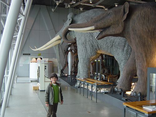 仙台市科学館 息子と恐竜と私の旅日記
